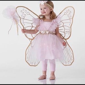 Pottery Barn Kids Fairy Costume Size 3T